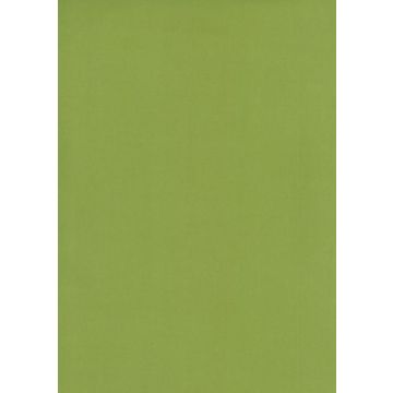 Osborne & Little - Tarva Moleskin F6421-19