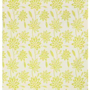 Osborne & Little - Kerkyra F6481-02