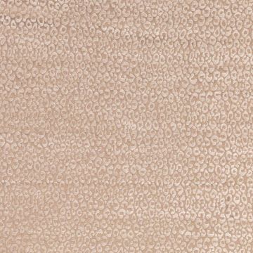 Matthew Williamson - Eden - Cheetah - F6532-02