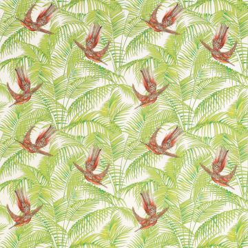 Matthew Williamson - Eden - Sunbird - F6533-04