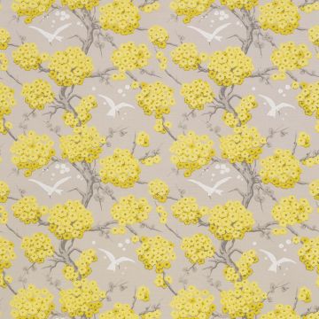 Osborne & Little - Japonerie F6560-02