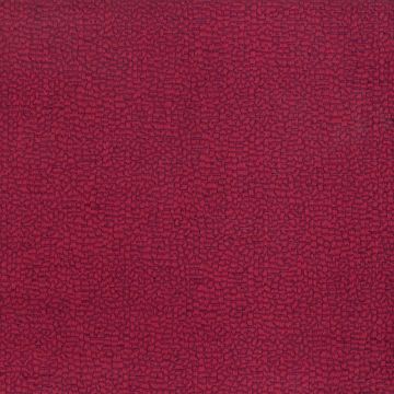 Osborne & Little - Antibes F6571-08