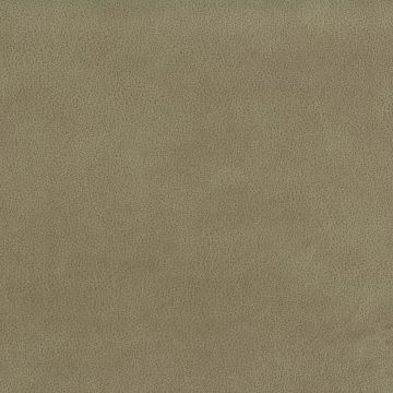 Osborne & Little - Lorimer F6600-01