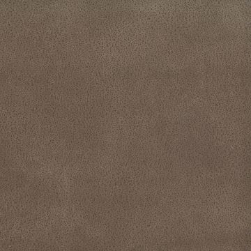 Osborne & Little - Lorimer F6600-02