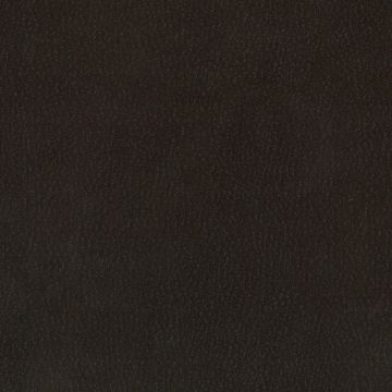 Osborne & Little - Lorimer F6600-03