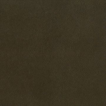 Osborne & Little - Lorimer F6600-05