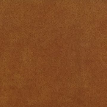 Osborne & Little - Lorimer F6600-09