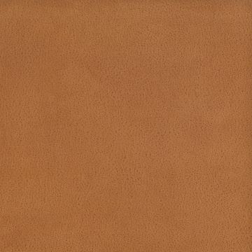 Osborne & Little - Lorimer F6600-10