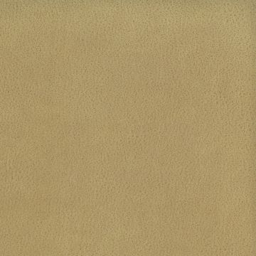 Osborne & Little - Lorimer F6600-11