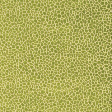 Matthew Williamson - Samana - Kairi - F6632-01