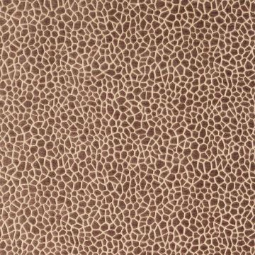 Matthew Williamson - Samana - Kairi - F6632-03