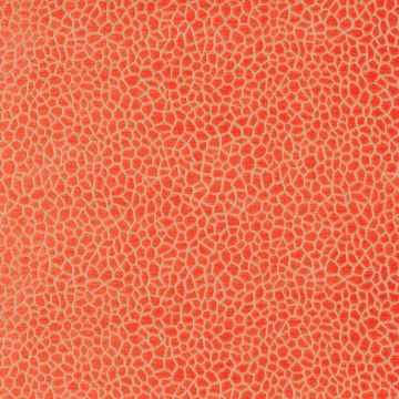 Matthew Williamson - Samana - Kairi - F6632-06