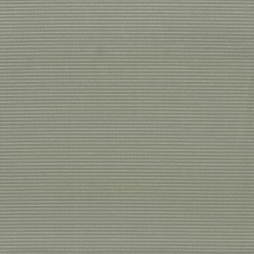 Matthew Williamson - Shimmer - F6640-12