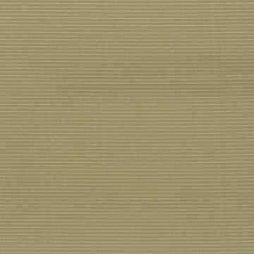 Matthew Williamson - Shimmer - F6640-16