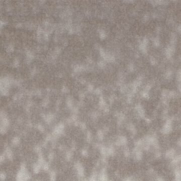 Osborne & Little - Thetis F6831-01