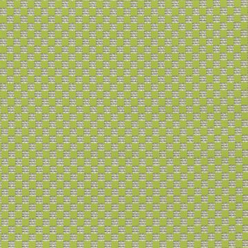 Osborne & Little - Margarita F6881-01