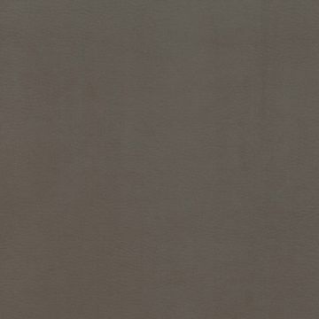 Osborne & Little - Westray F6921-01