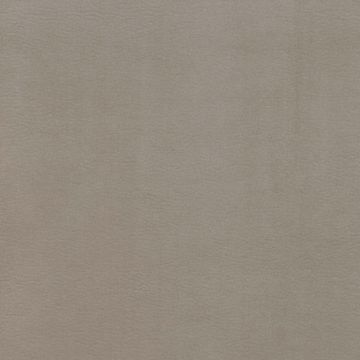 Osborne & Little - Westray F6921-02