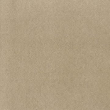 Osborne & Little - Westray F6921-06