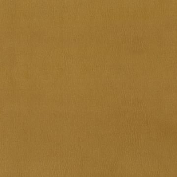 Osborne & Little - Westray F6921-17