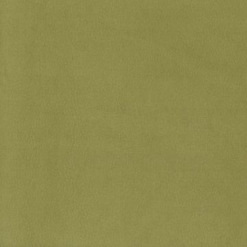 Osborne & Little - Westray F6921-23