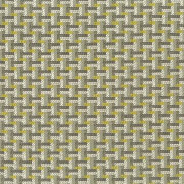 Osborne & Little - Piquet F6965-02