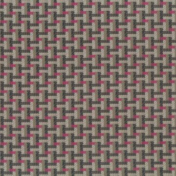 Osborne & Little - Piquet F6965-04