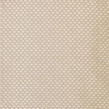 Osborne & Little - Fan-Tan F6968-02