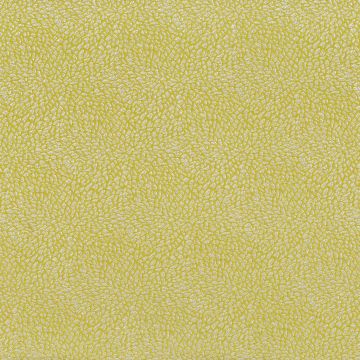 Osborne & Little - Macklin F6980-03