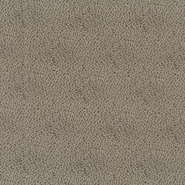 Osborne & Little - Macklin F6980-06