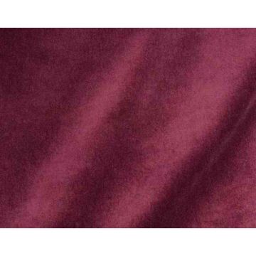 Fadini Borghi - Enzo - I6478011 Carmine