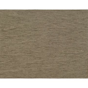 Fadini Borghi - Volterra - I6504004 Visone