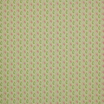 Jane Churchill - Myla - J880F-04 Pink/Green