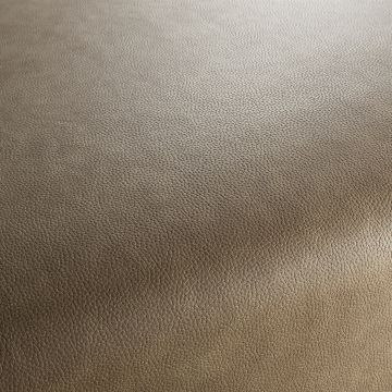 JAB Anstoetz - Django - 1-1396-032