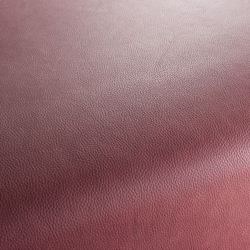 JAB Anstoetz - Django - 1-1396-061