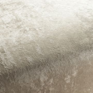 JAB Anstoetz - Excelsior 1-3097-072