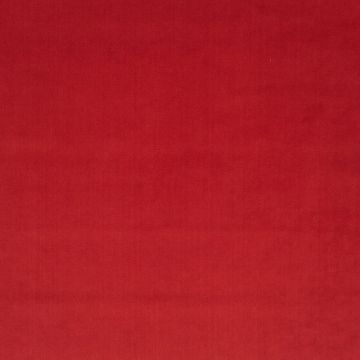 JAB Anstoetz - Champion 1-3114-011