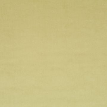 JAB Anstoetz - Champion 1-3114-030