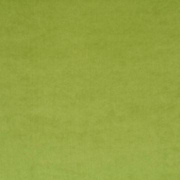 JAB Anstoetz - Champion 1-3114-031