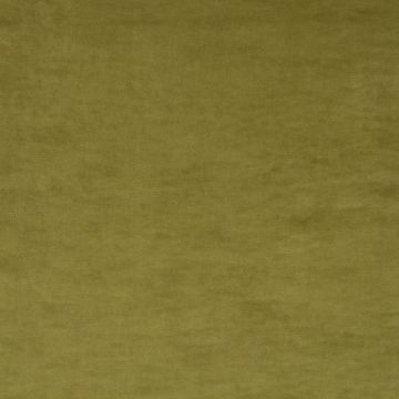 JAB Anstoetz - Champion 1-3114-032