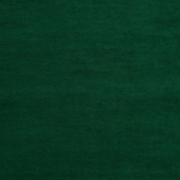 JAB Anstoetz - Champion 1-3114-033