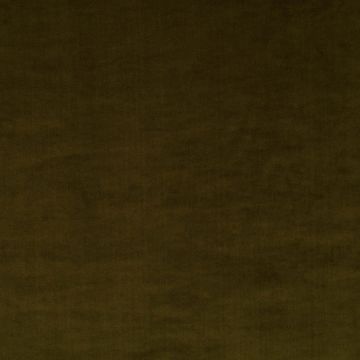 JAB Anstoetz - Champion 1-3114-035