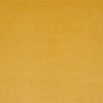 JAB Anstoetz - Champion 1-3114-040