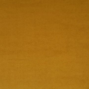 JAB Anstoetz - Champion 1-3114-041