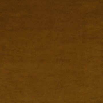 JAB Anstoetz - Champion 1-3114-042