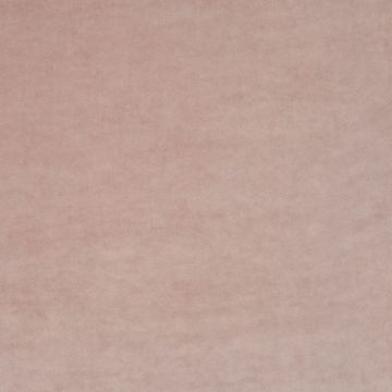 JAB Anstoetz - Champion 1-3114-062