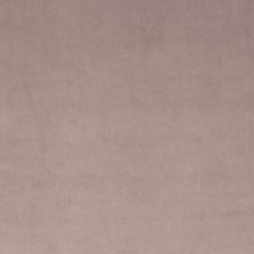 JAB Anstoetz - Champion 1-3114-063