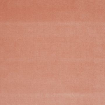 JAB Anstoetz - Velluto 1-3120-069