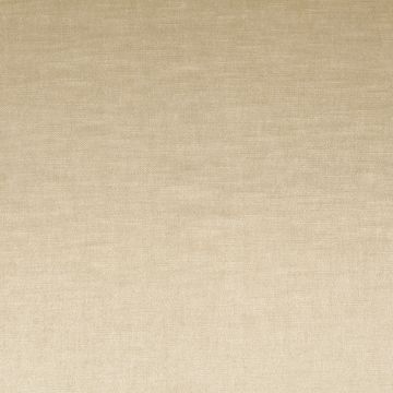 JAB Anstoetz - Regent 1-3125-030