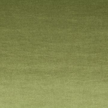 JAB Anstoetz - Regent 1-3125-033